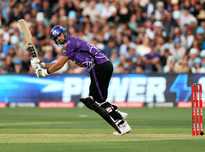 他们的表现 他们的表现